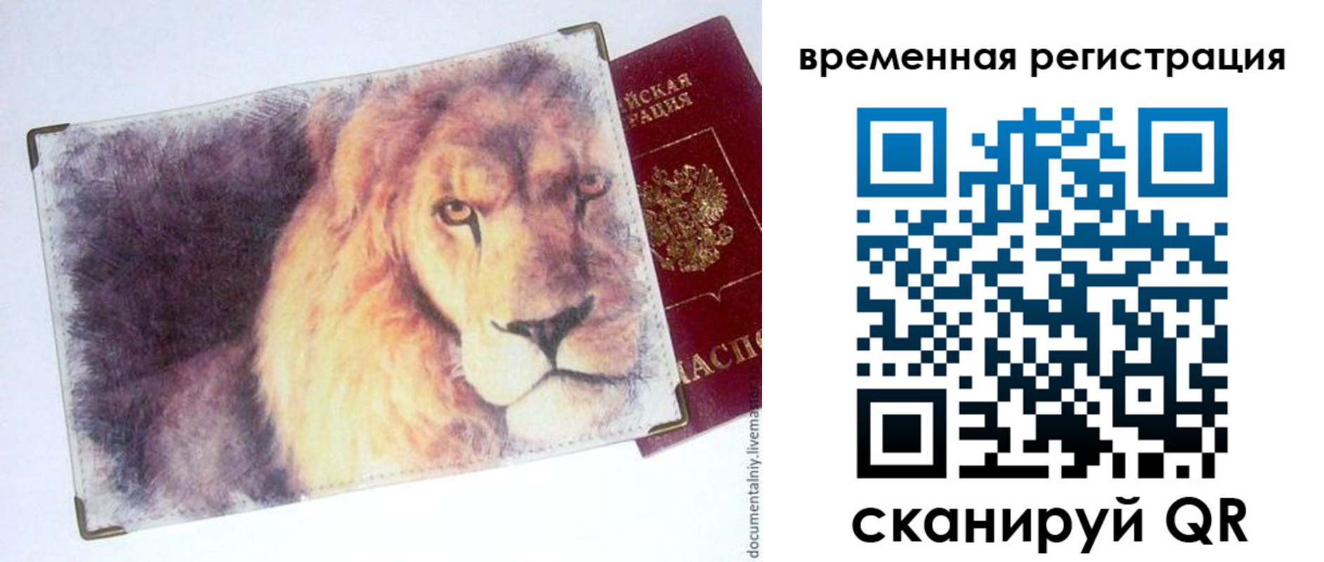 прописка в Электростали